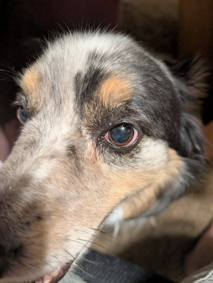 Dave Feit tweet media