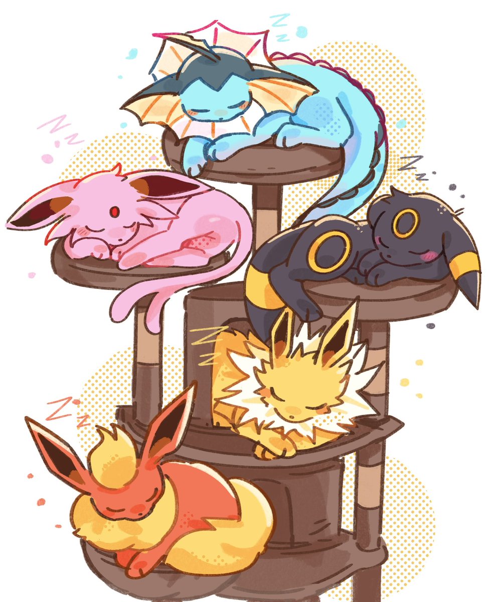 세쾅이 / セクァンイ tweet media