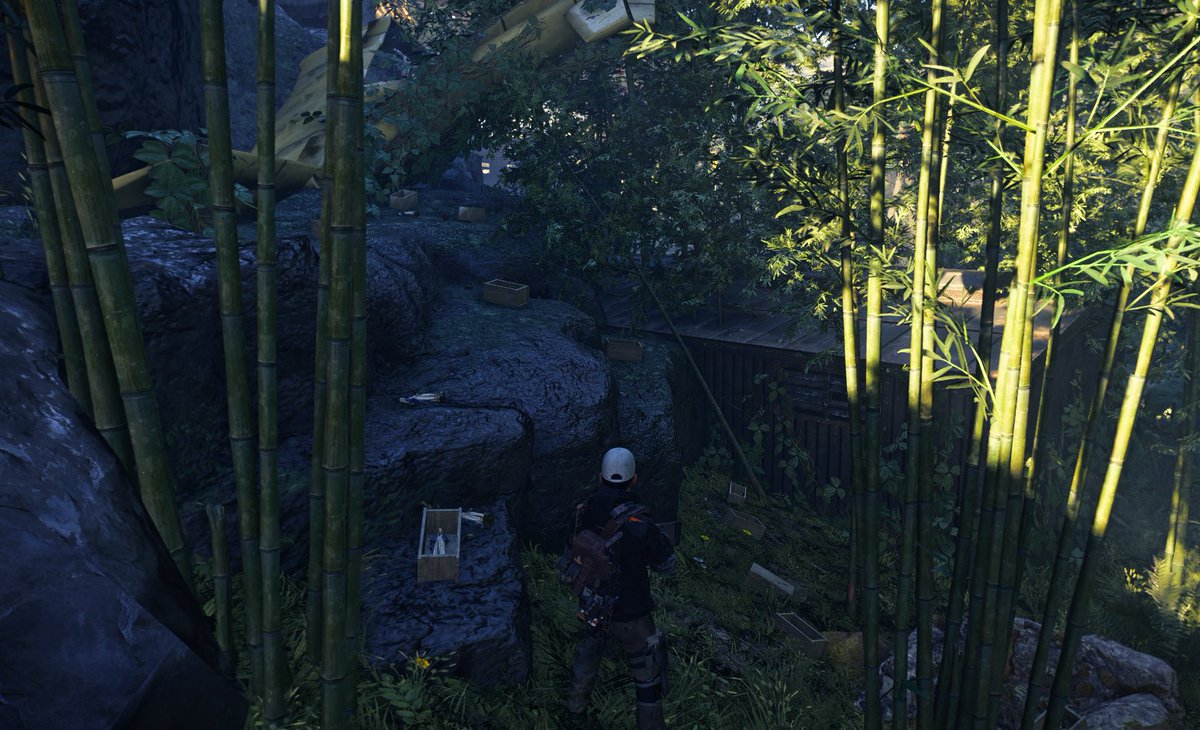 Sandra Fikes tweet media