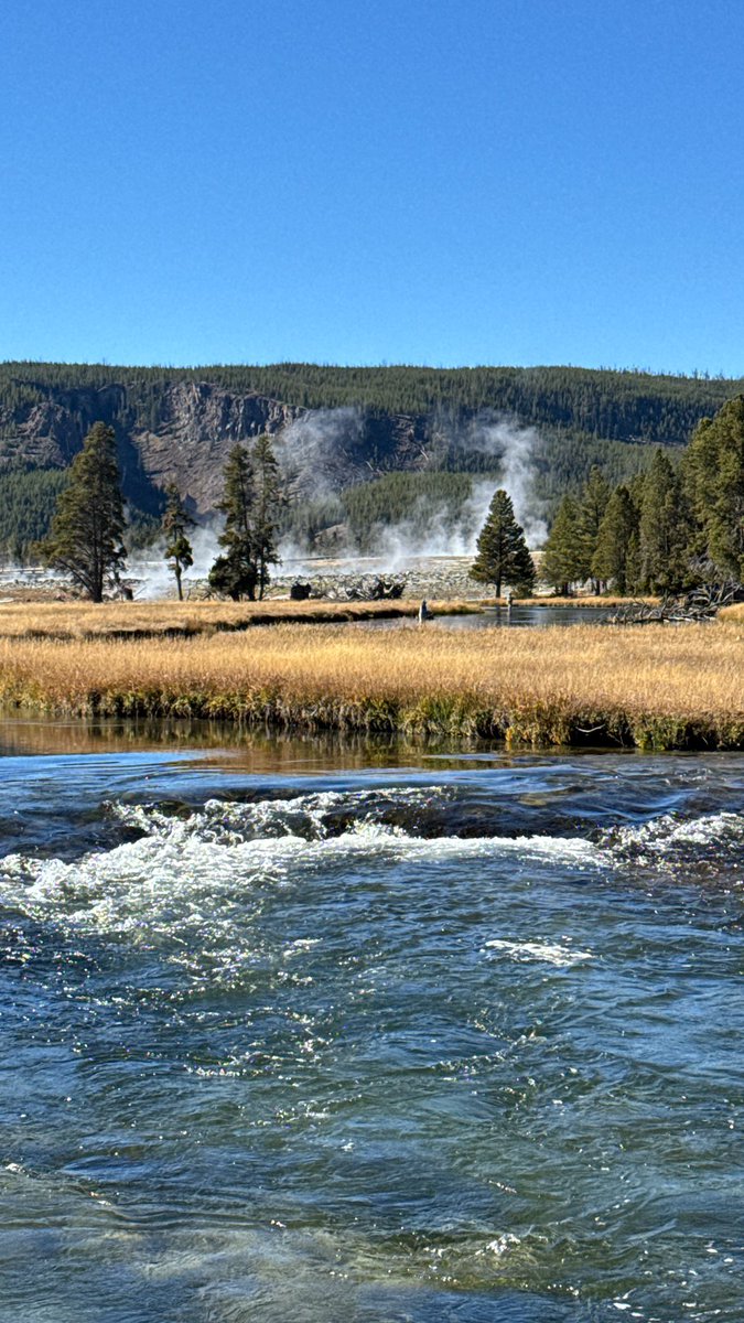 Tracey B. tweet media