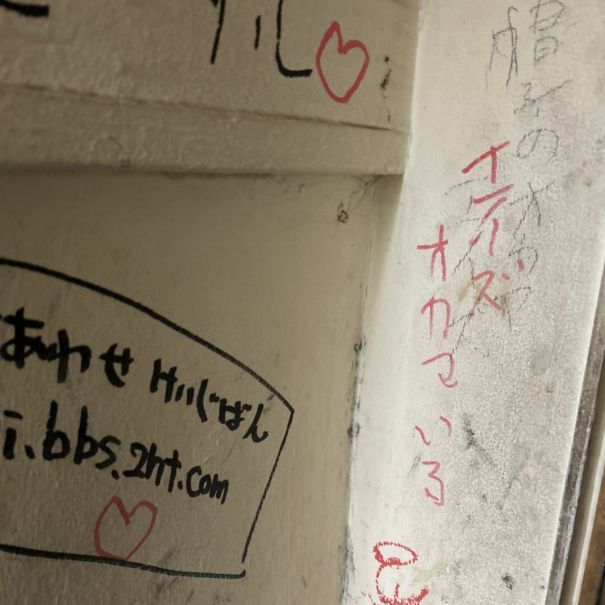 しゃけ太郎 tweet media