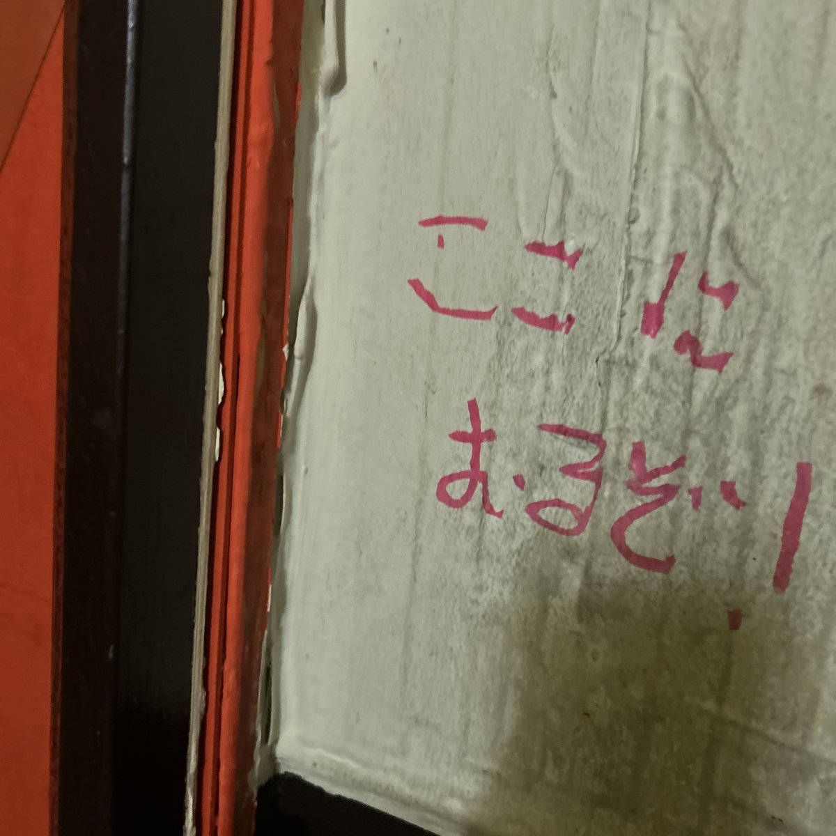 しゃけ太郎 tweet media