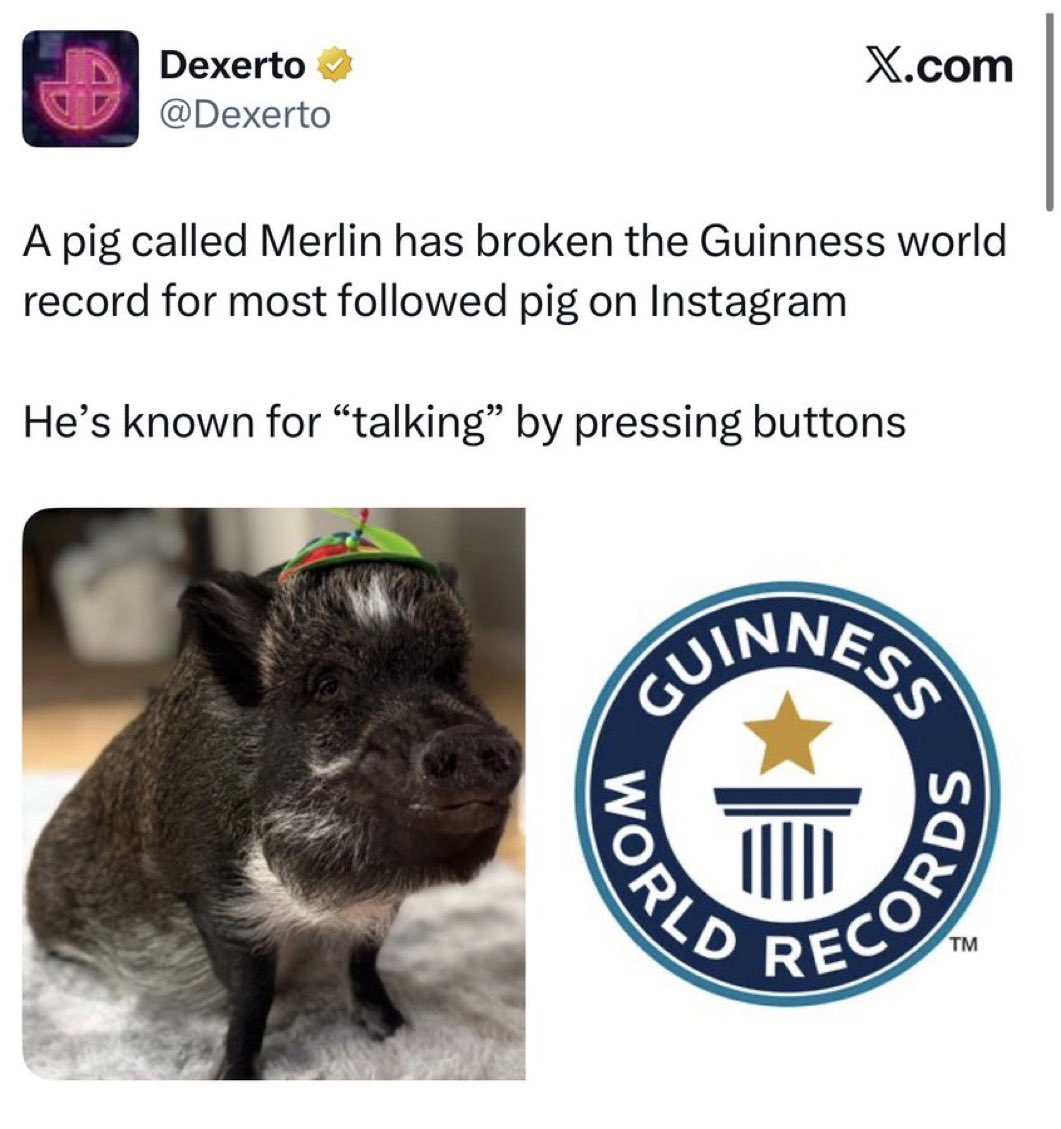 Maverick tweet media