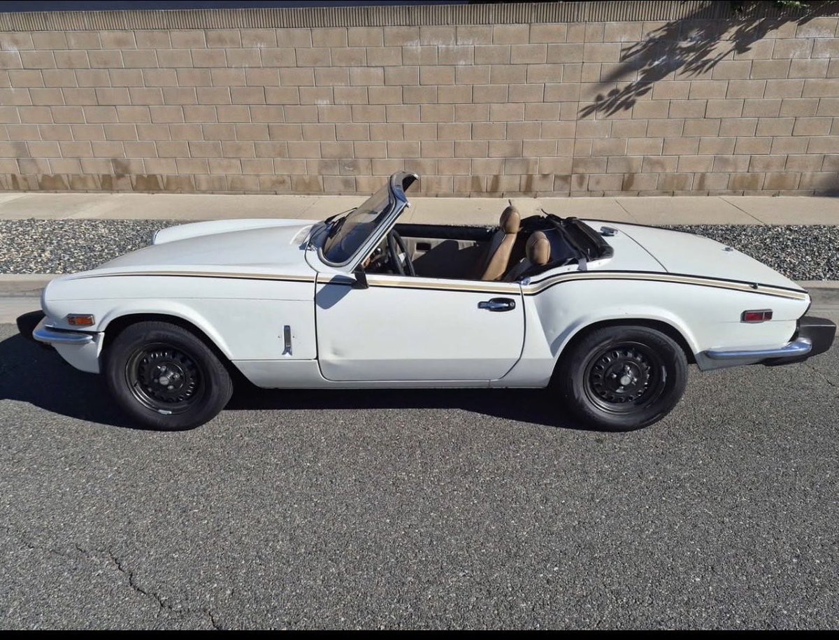 Dylan Morris tweet media