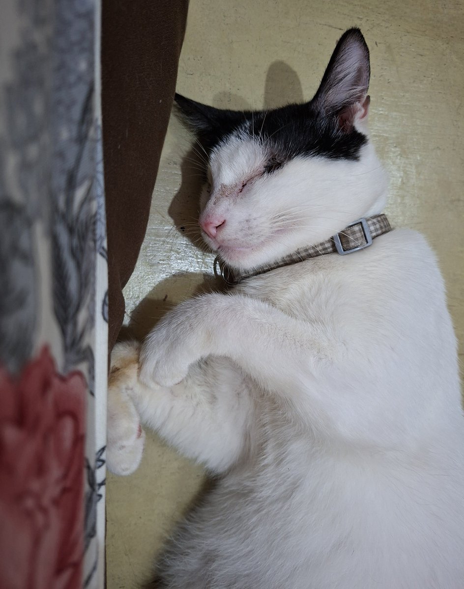 Lyla divorced xavier 💔 tweet media