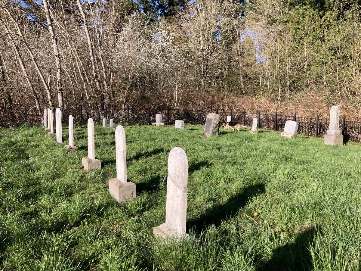 Aurora Oregon tweet media