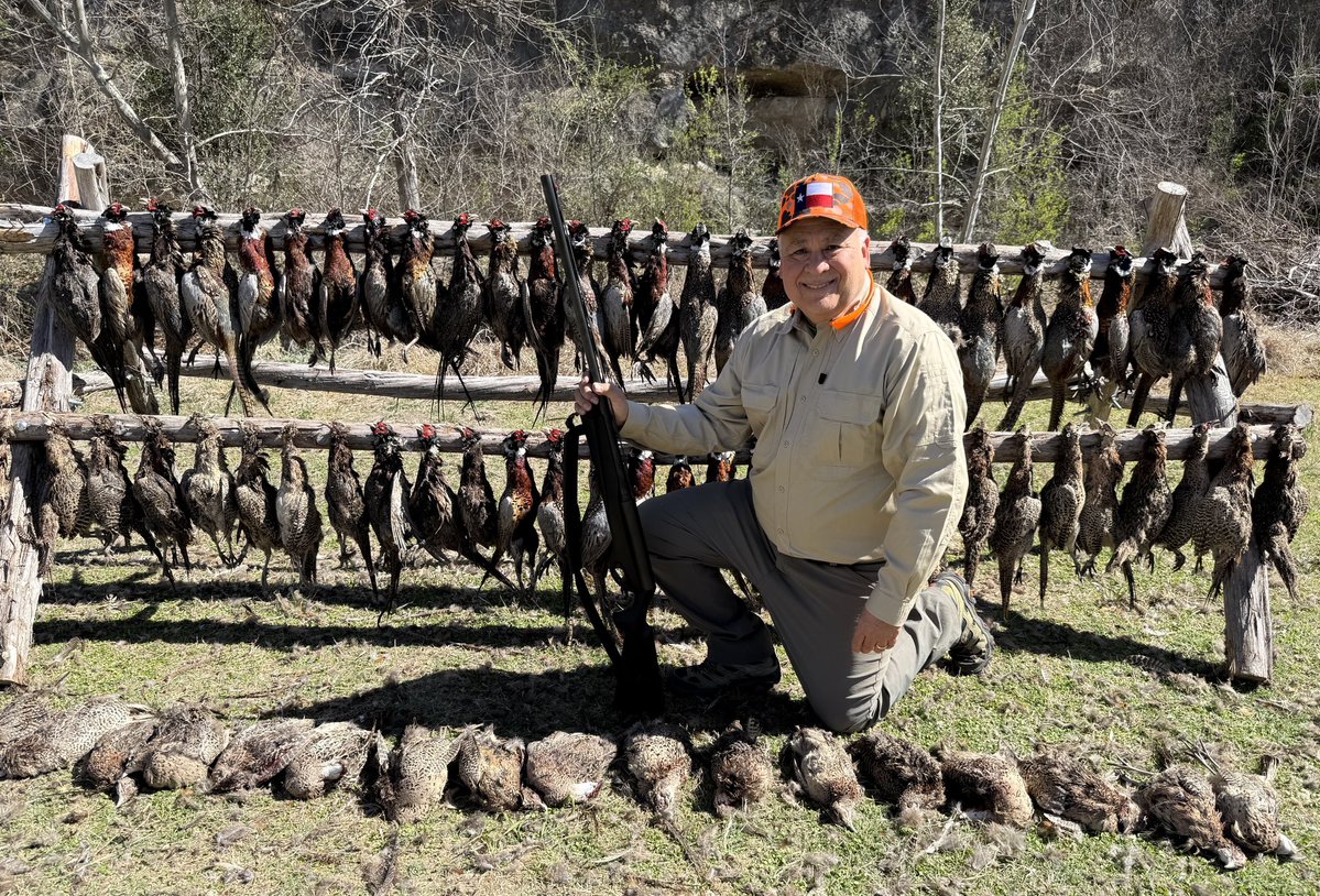 Tony Arce tweet media