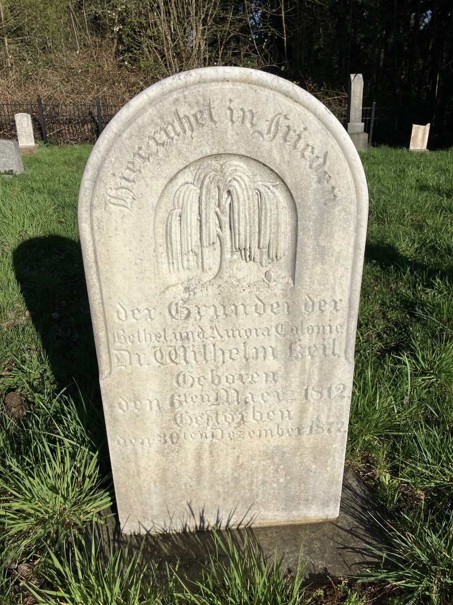 Aurora Oregon tweet media