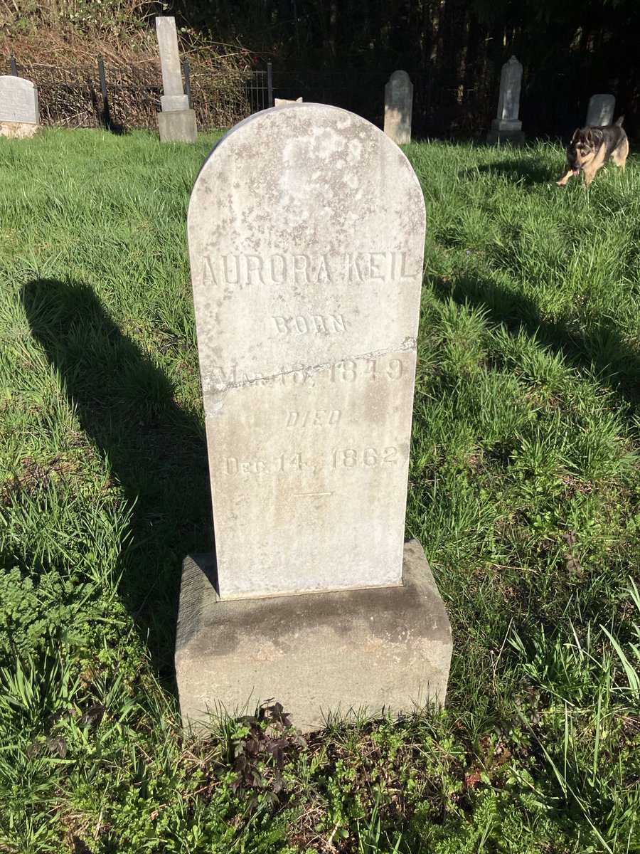 Aurora Oregon tweet media