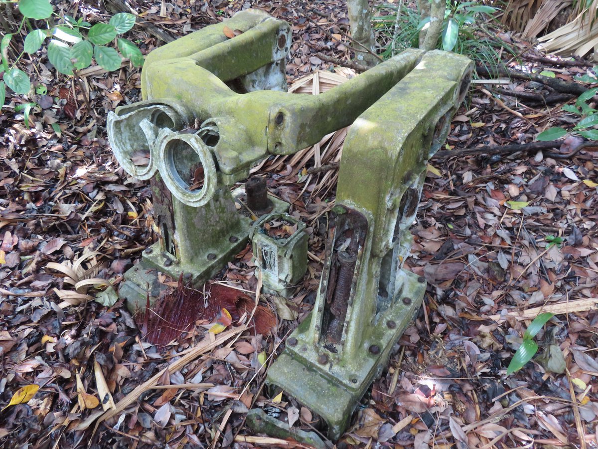 廃墟を旅する@東雲みょん tweet media