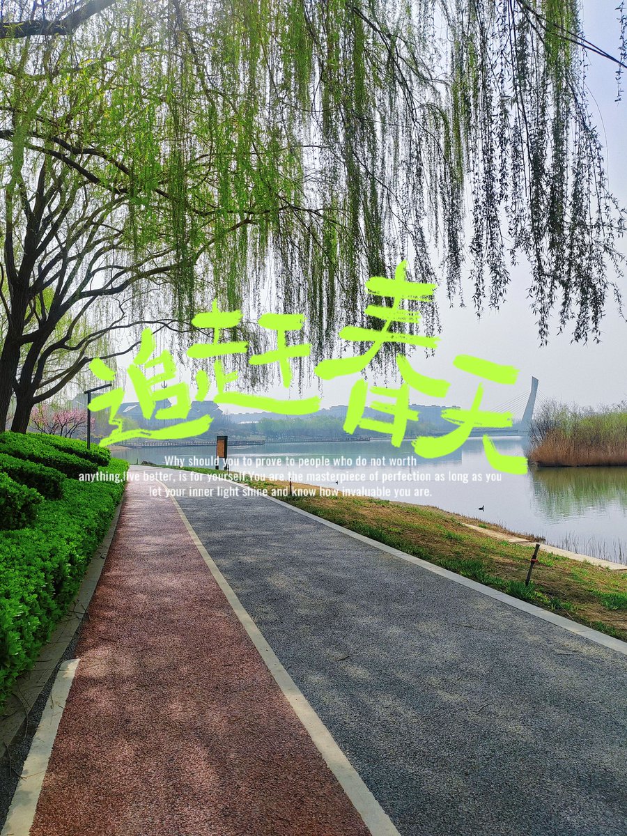 Susan（互fo） tweet media