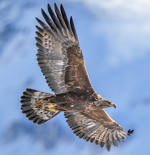 Com. Miracles Center tweet media