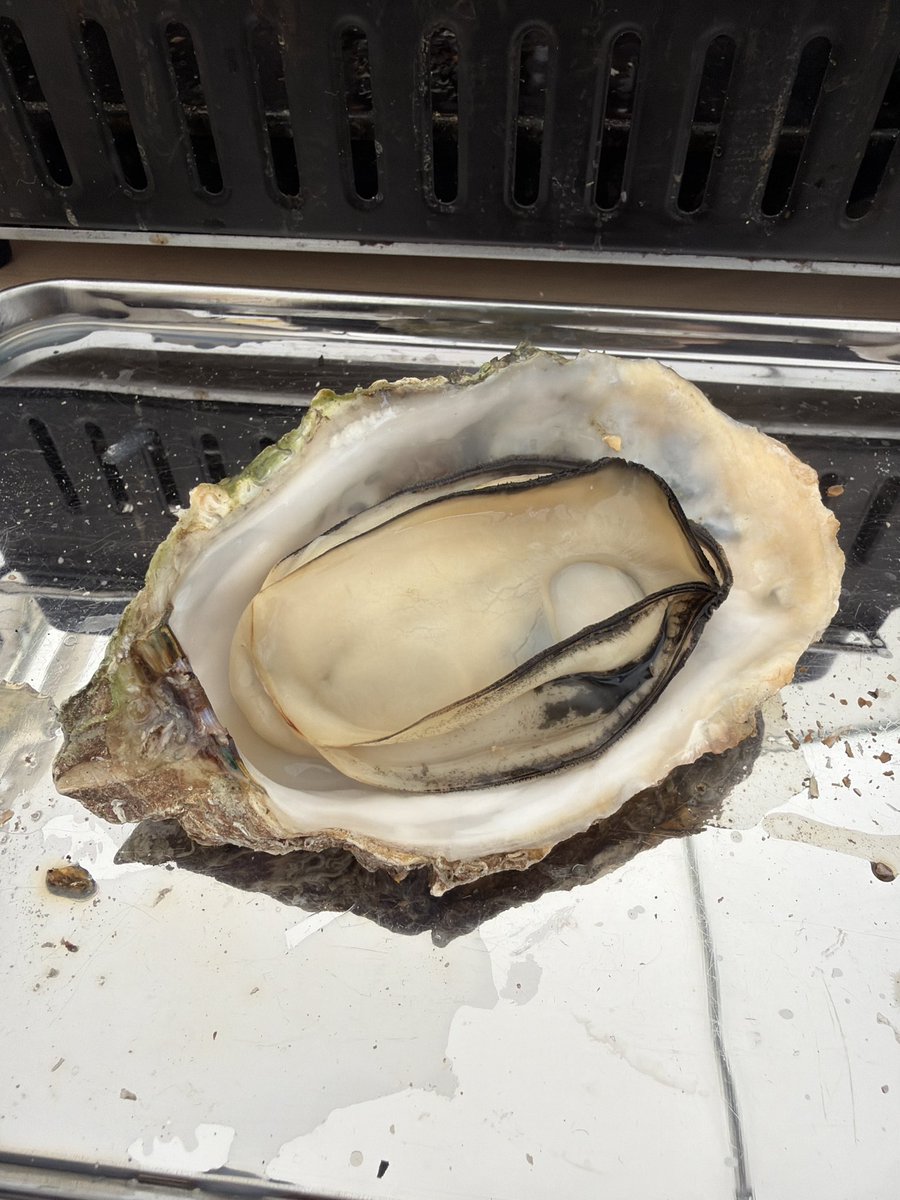 マサキマサユキ@広島の企画屋さん tweet media