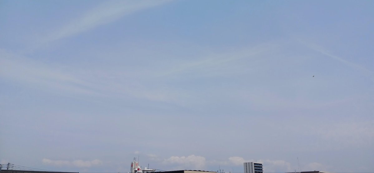 🐯K.のりのりまる⚾🏒⚽🏀 tweet media