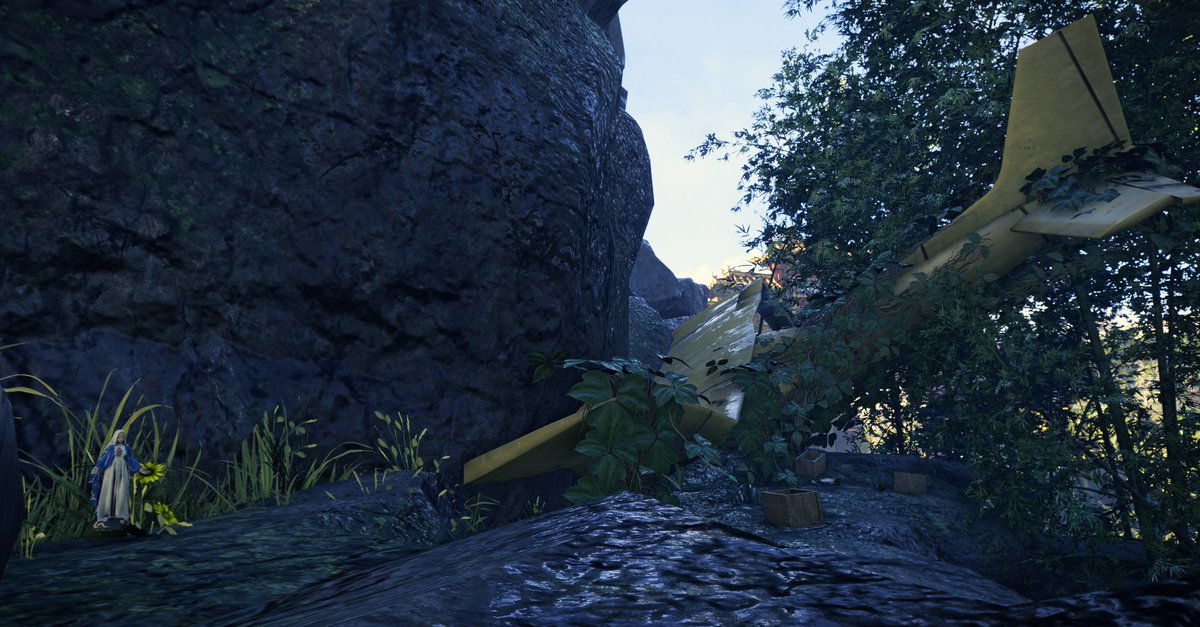 Sandra Fikes tweet media