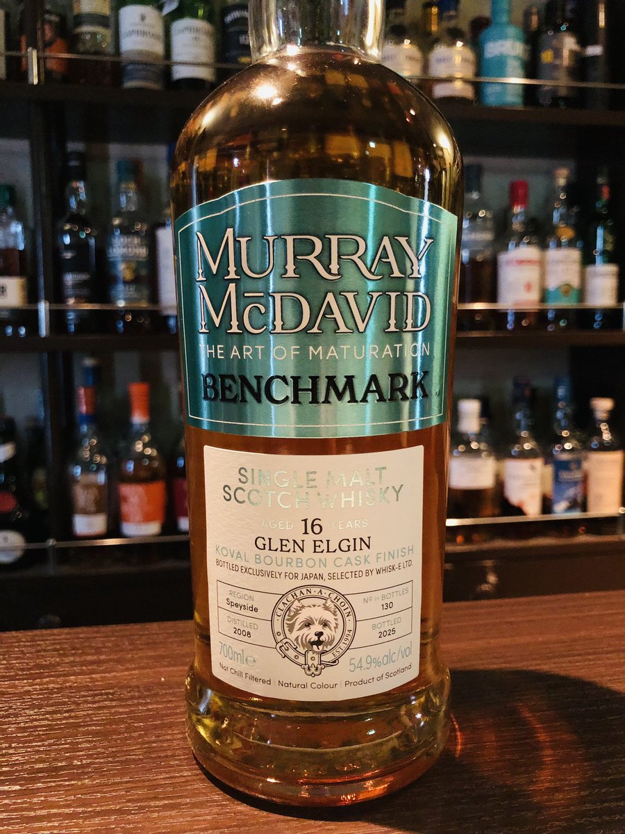 新橋 BAR キャパドニック tweet media