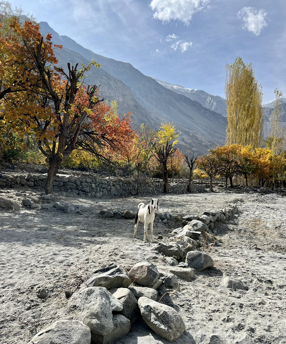 ก็ยังไม่มีใครสู้ปากีสถานได้ ความดิบ ความดาวเคราะห์อีกใบ ไกลโพ้นและเวิ้งว้าง ถ้ามีโอกาสก็คงกลับไปอีกแน่ๆ