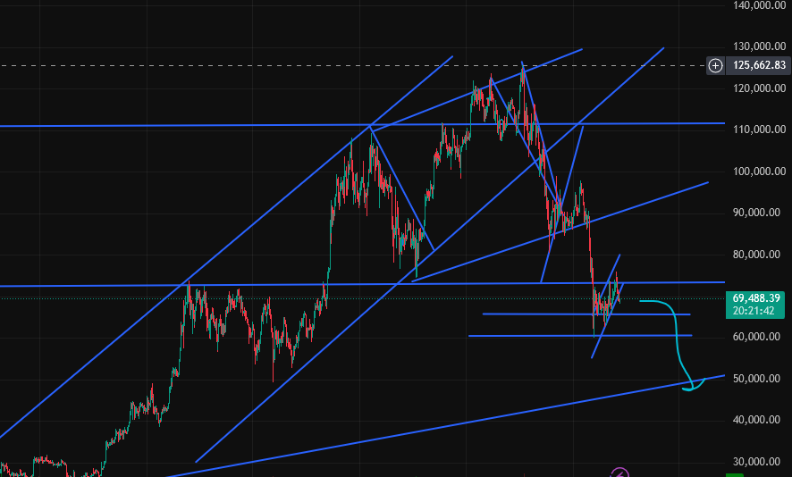AlphaAngel🧪 tweet media