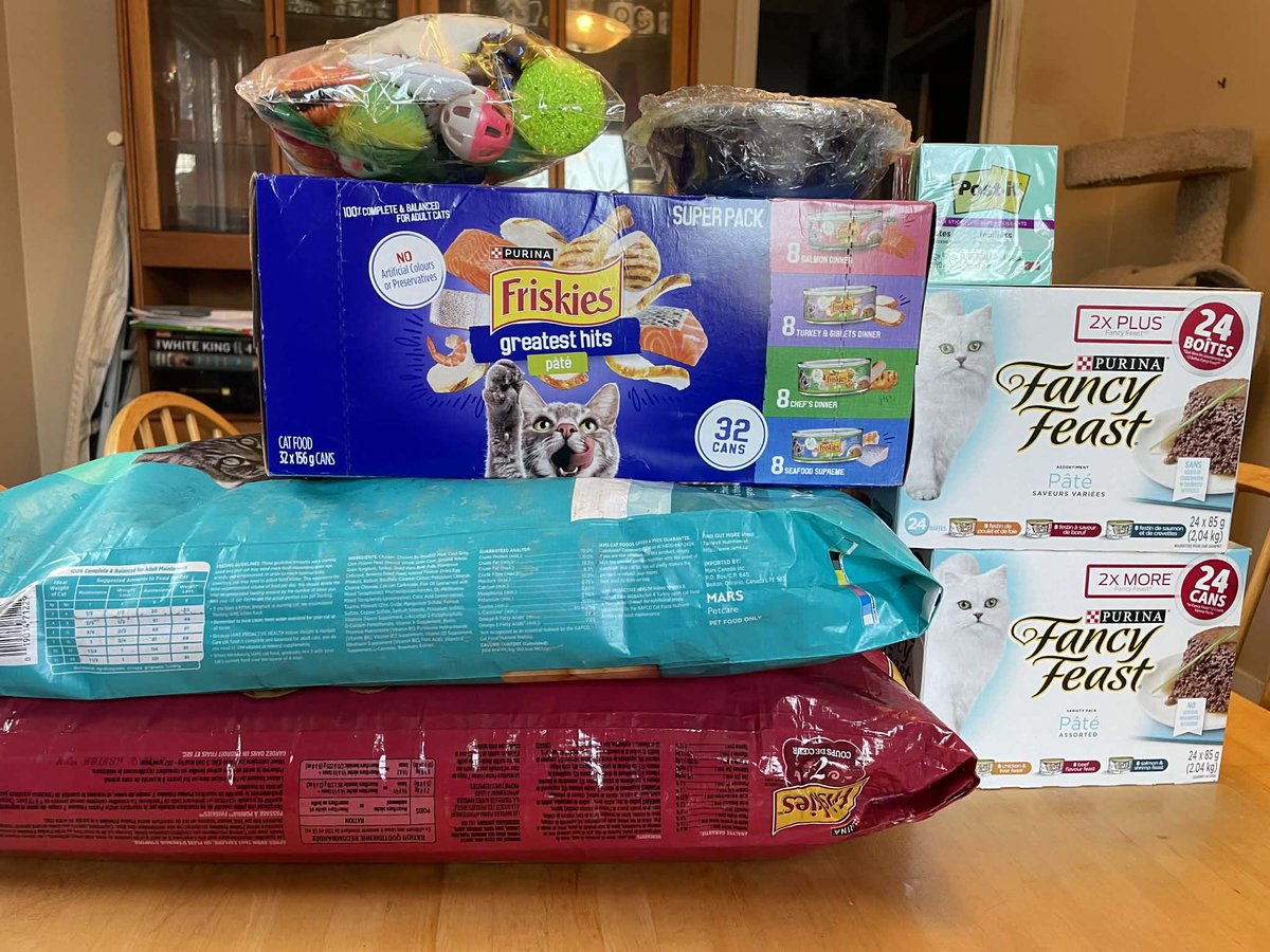 SAFE Team Rescue tweet media