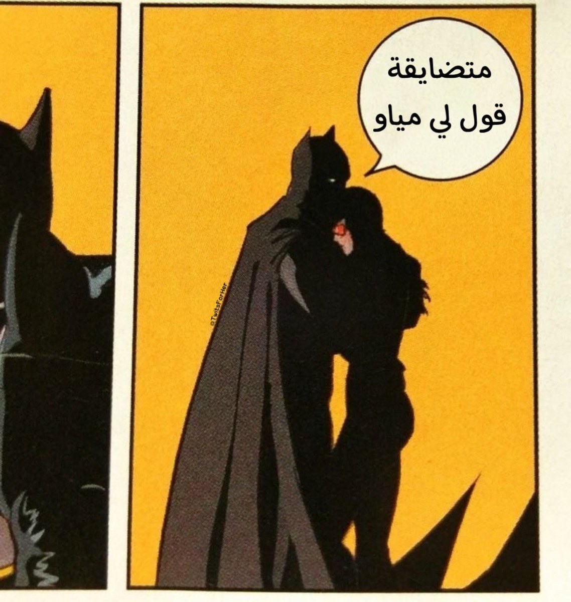 هتهت tweet media