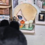 Photo by 좀비고등학교 솜인형 공구 홍보계 (@sombieGo)