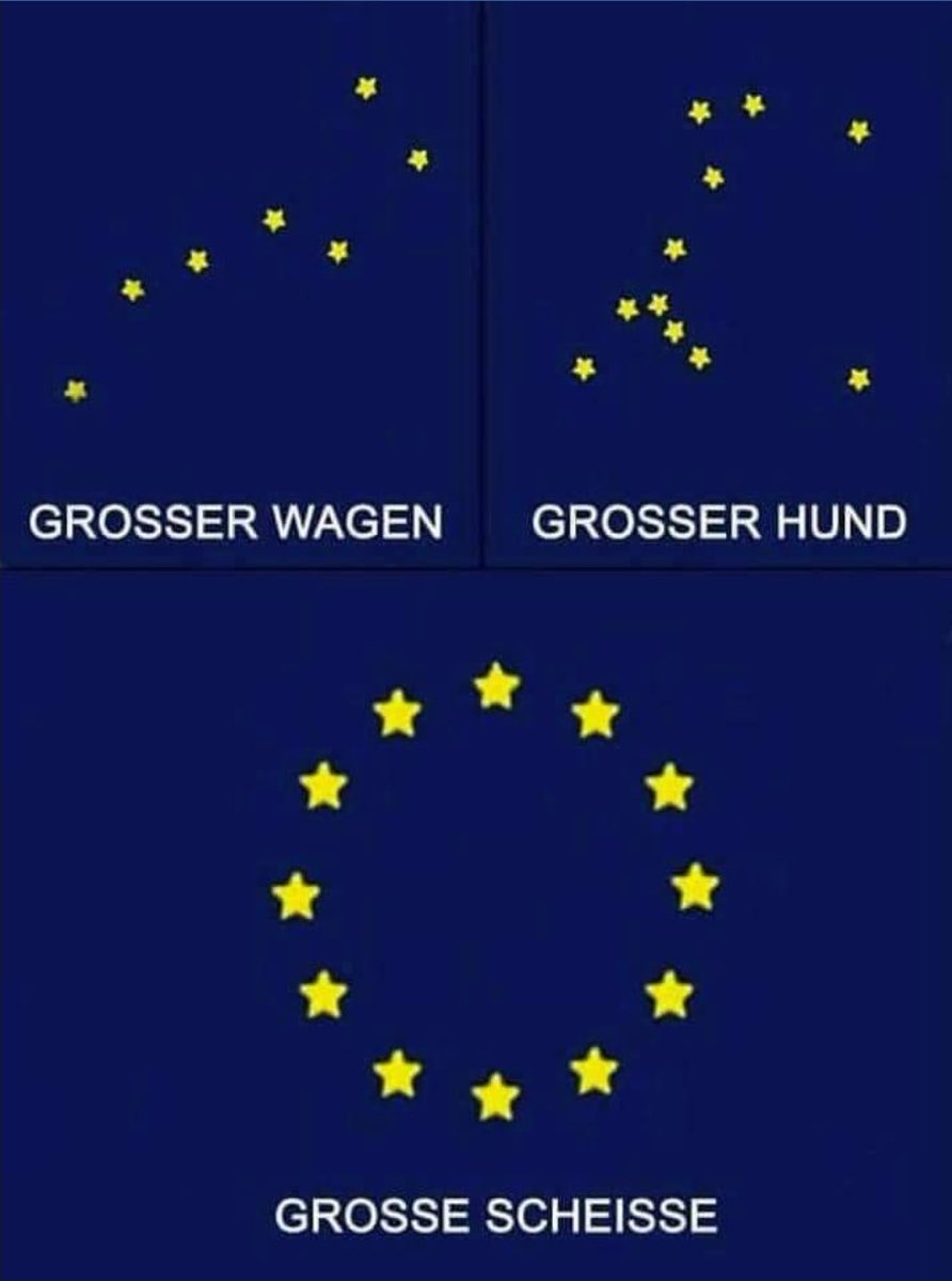 Intoleranter💙 tweet media