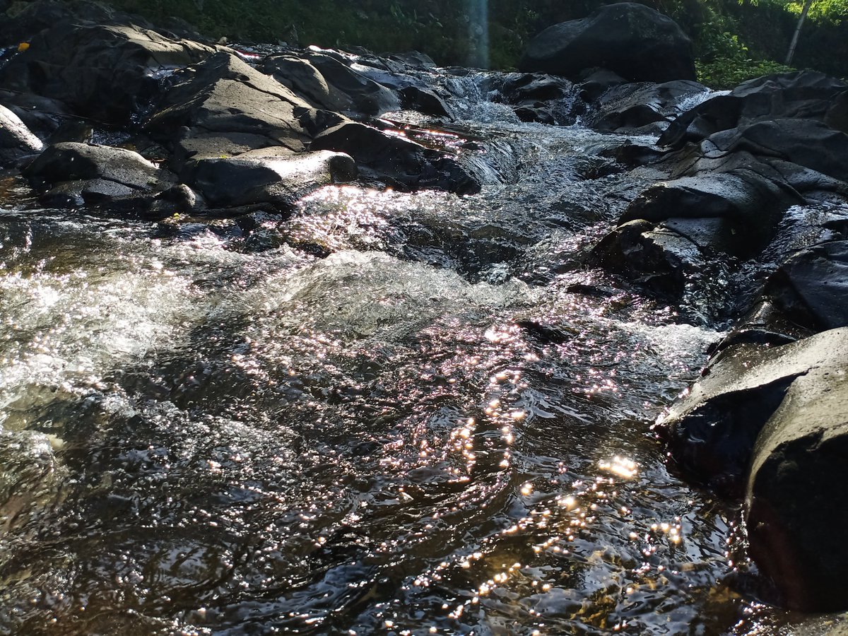 LunArthia (@geminorulus) on Twitter photo 