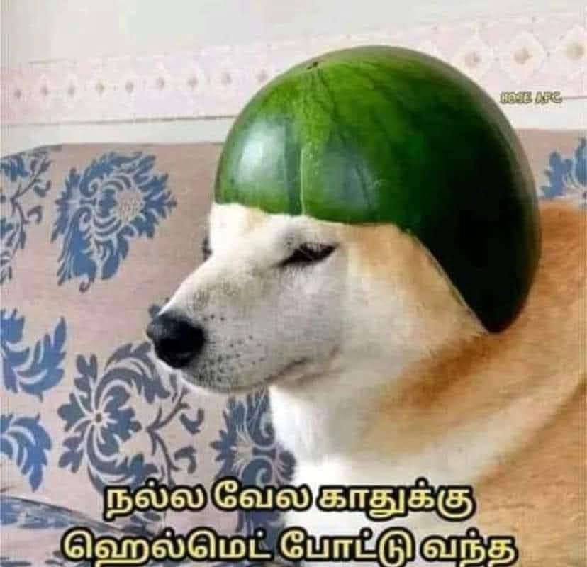 Mr.பொதுஜனம் tweet media