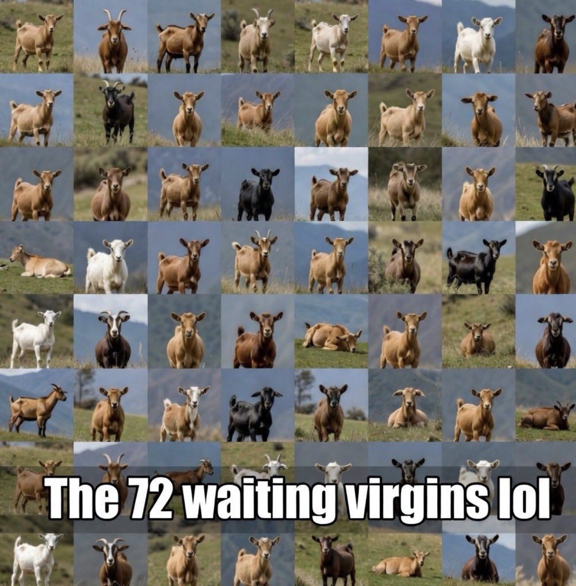 Gen Eric tweet media