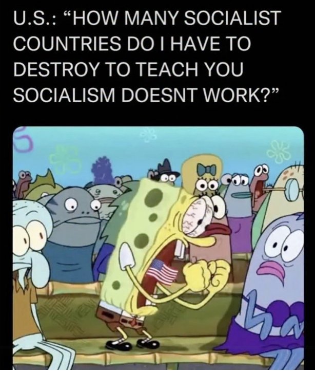 extremelynosycucumber tweet media