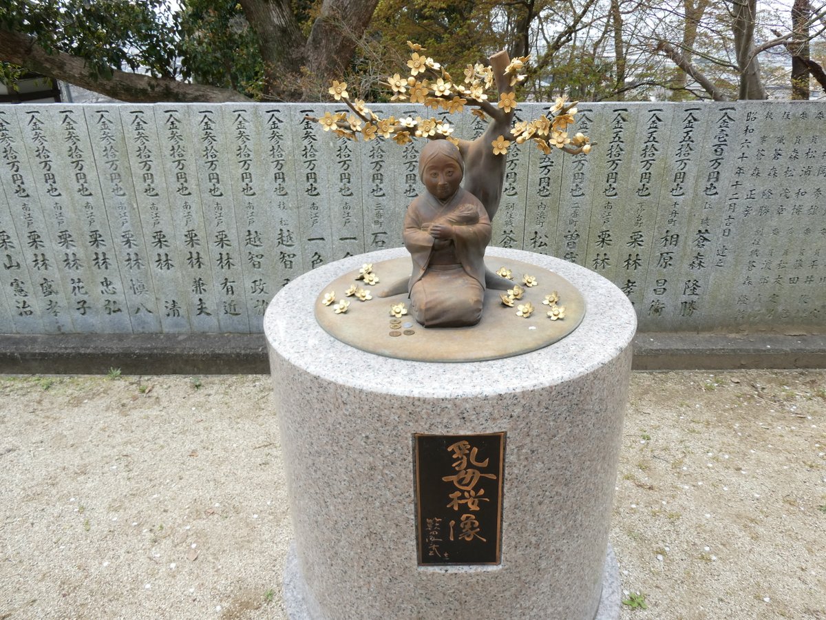 コスモクリア☆愛媛松山 tweet media