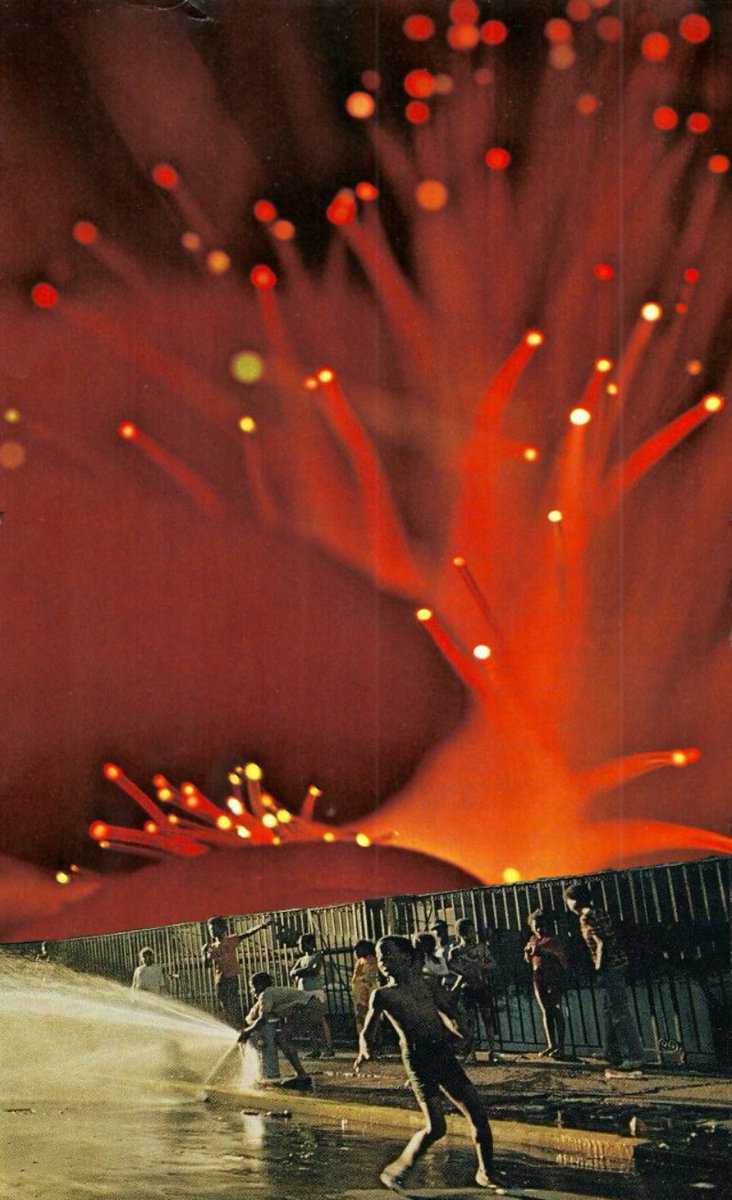 Ø₳₭ ➳ tweet media