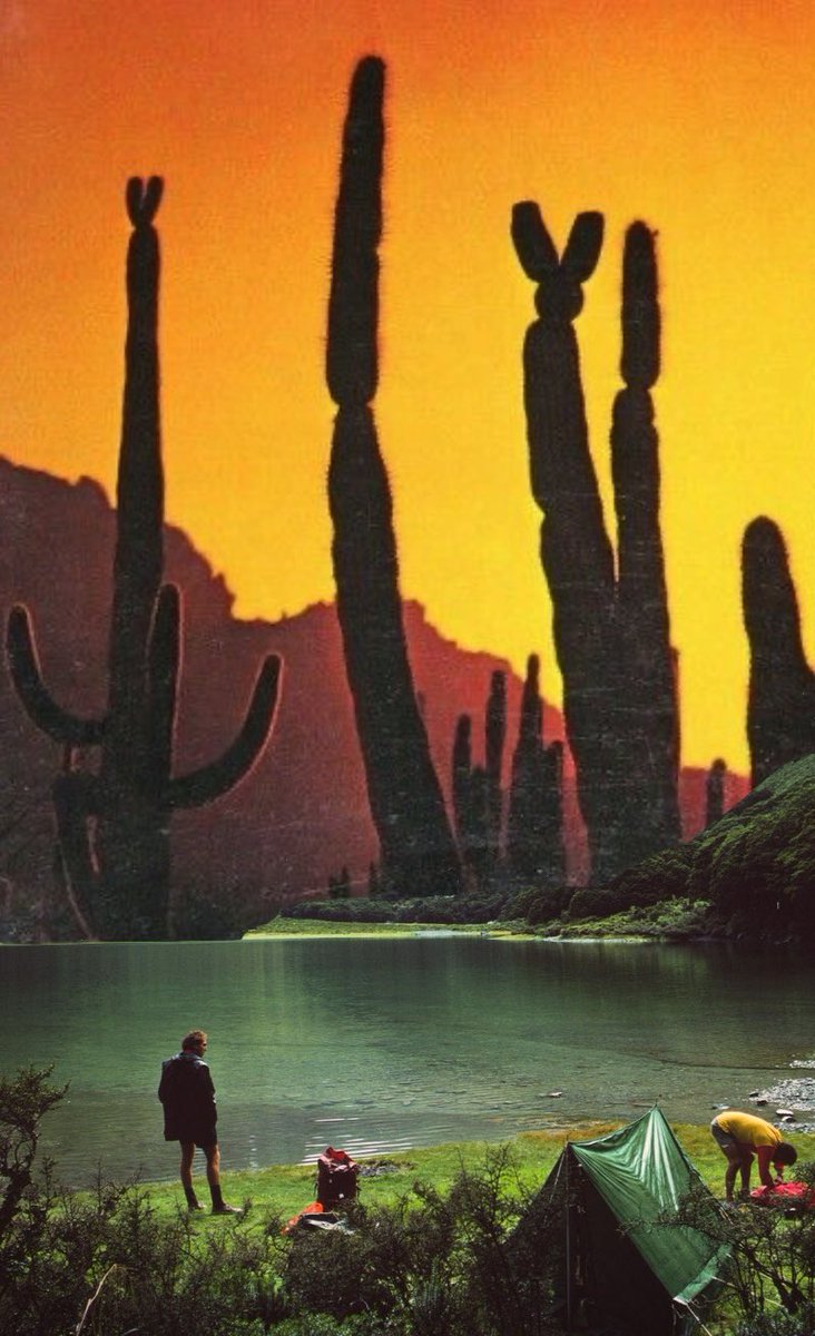 Ø₳₭ ➳ tweet media