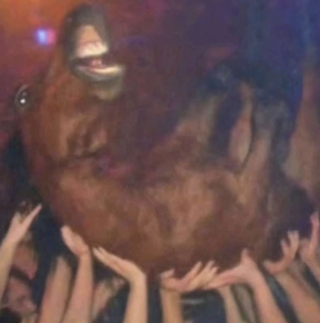 ms rat 🐀 tweet media