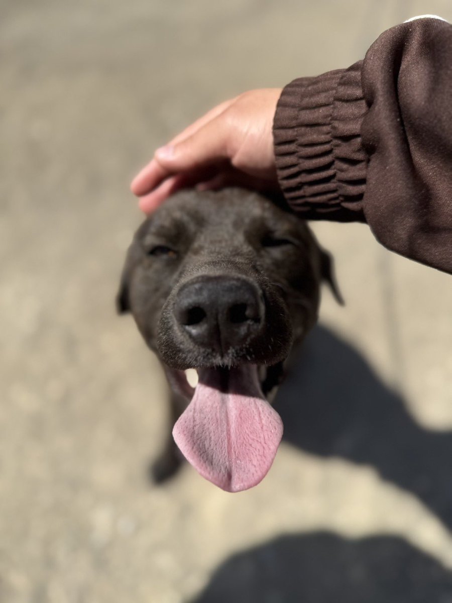 ここです✨ tweet media