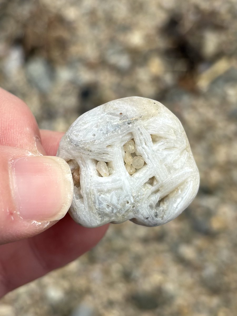 スビアですが？何か？ tweet media