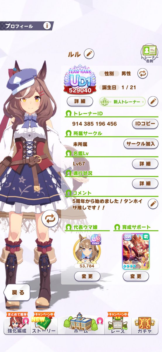 ルル@競馬・ウマ娘用アカ tweet media