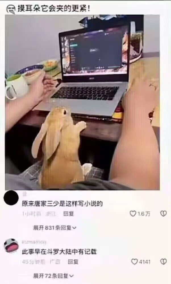 陈哥说Pro tweet media