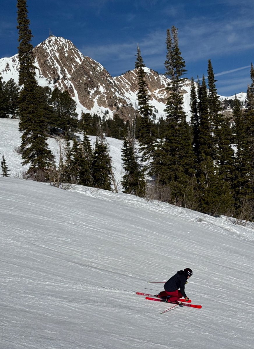 Ken Read tweet media