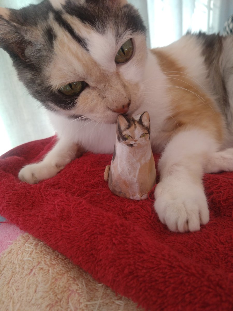 ミケちゃん tweet media