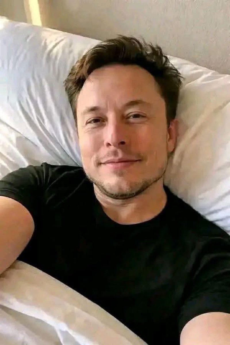 (FAN) ELONMUSK tweet media