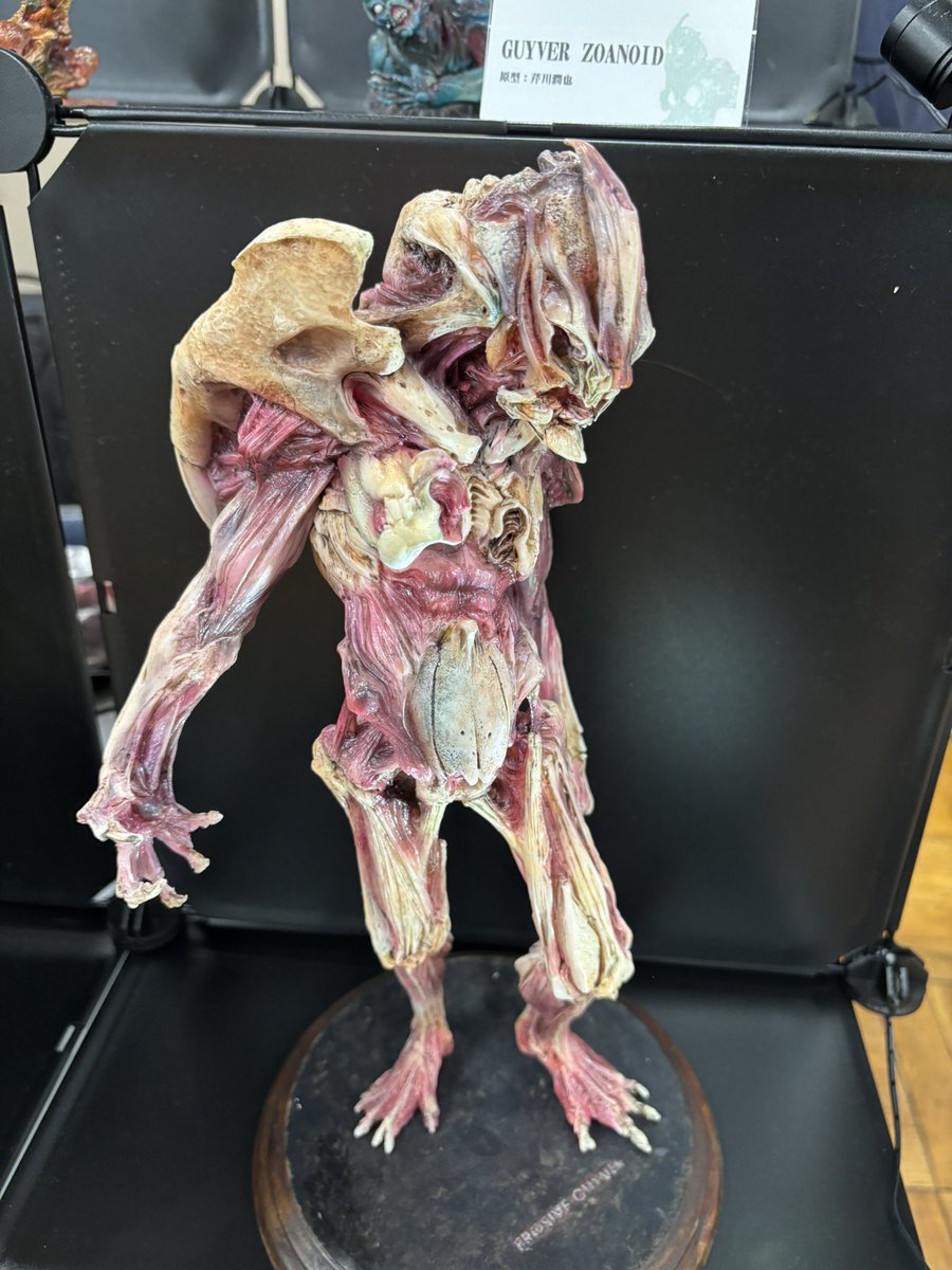 YokaiMiniP tweet media