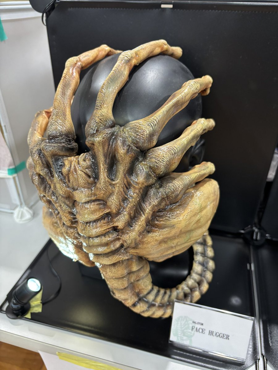 YokaiMiniP tweet media