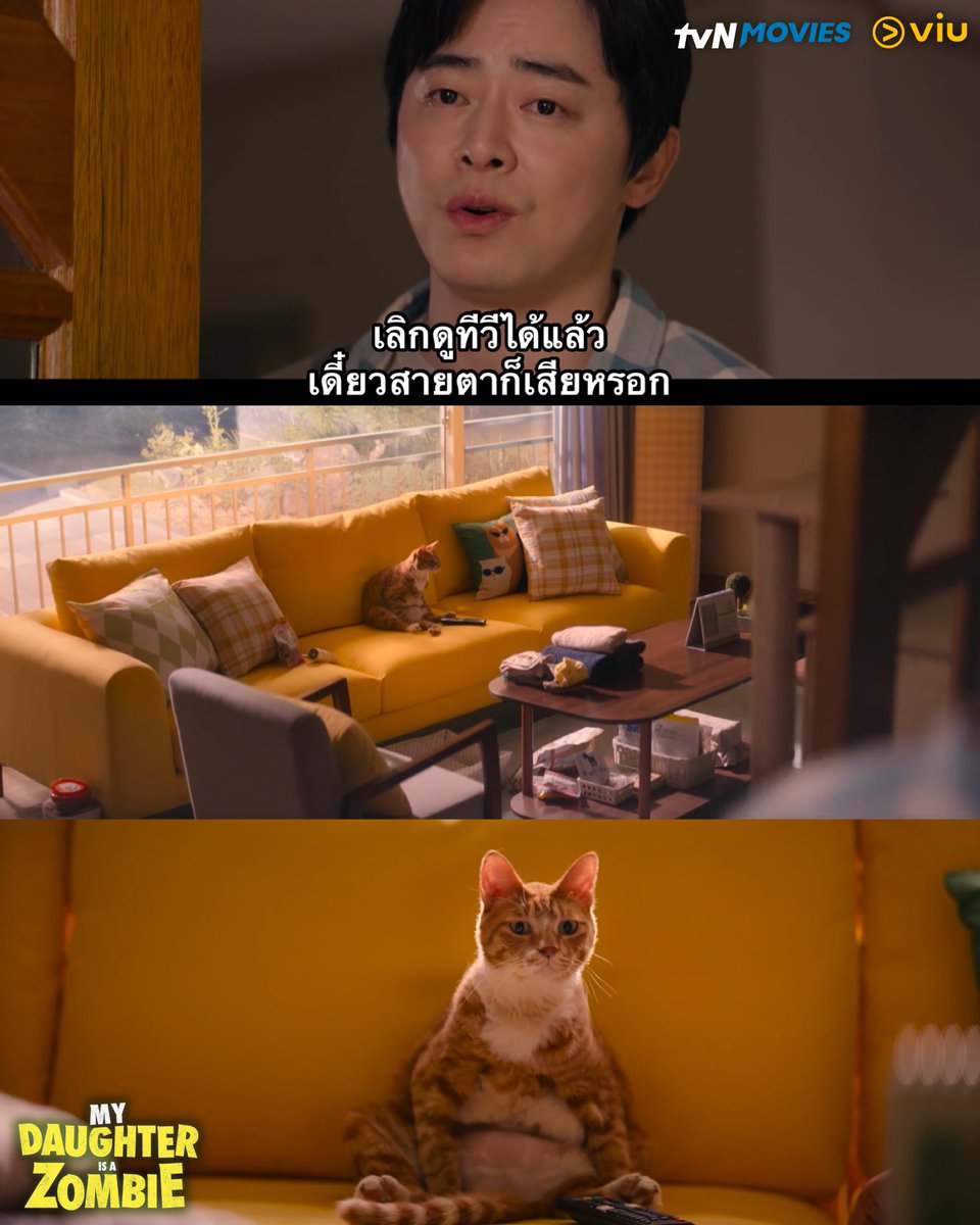 Viu Thailand tweet media