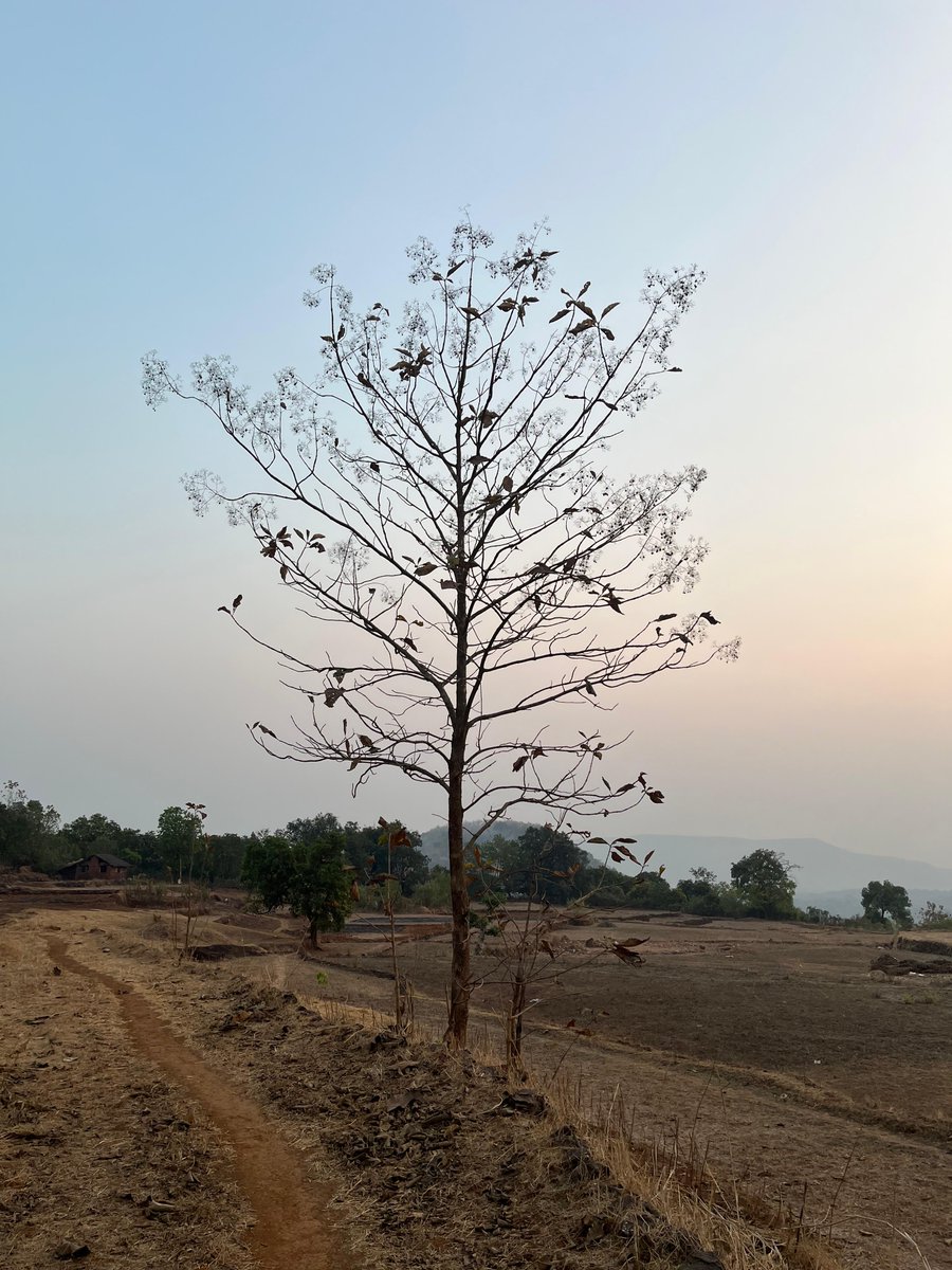 Namdev Katkar tweet media