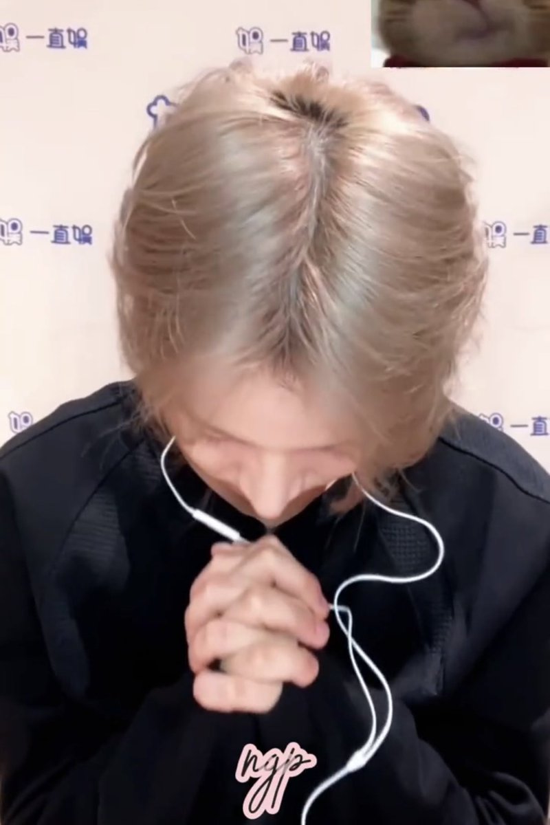 𓆩ava𓆪 tweet media