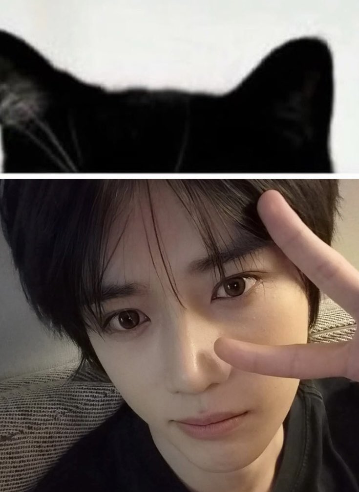 𝟑𝐨𝐯𝐞 tweet media