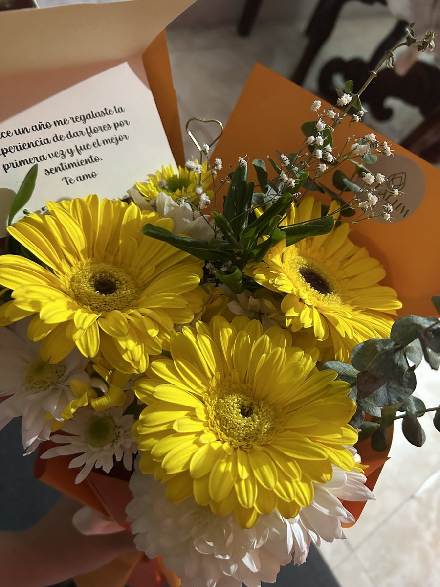 DanaeePatraca's tweet photo. Un año de recibir mis flores puntuales 💞🩷 https://t.co/8DqnngivYN