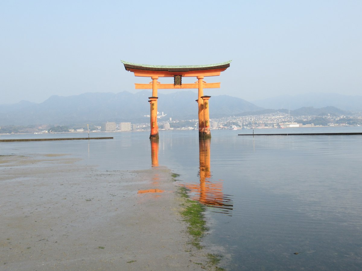 加藤じゅん＠日常　シャドバンにより絵や仕事は新垢へ移行中 tweet media