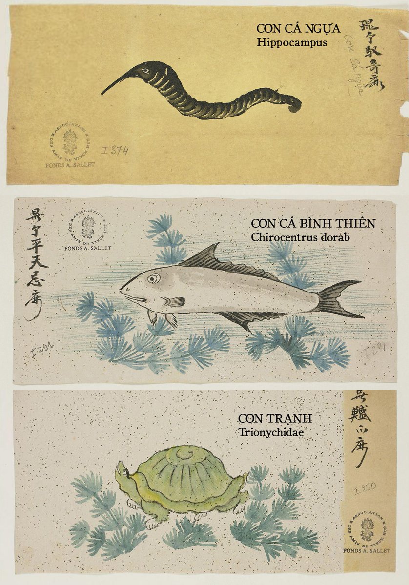 Phổ_Ngạn《溥彥》 tweet media